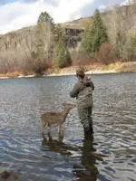 Deer friend #1.webp