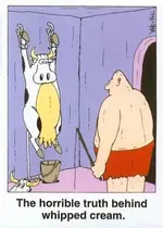 truth-behind-whipped-cream-cefjhjkobdgijlmq.webp