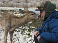 Deer friend #7.webp