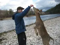 Deer friend #9.webp