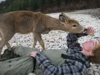 Deer friend #10.webp