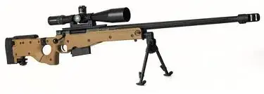 lapua.webp