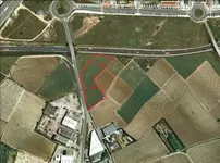 CAMPO MIKJI.webp