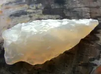DSCF0004.webp