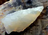 DSCF0024.webp