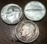 fishy dime.webp