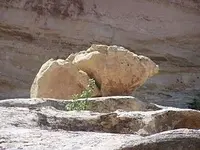 100_3160 TM Pigrock.webp