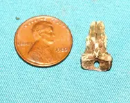 10 09 finds tooth 2.webp