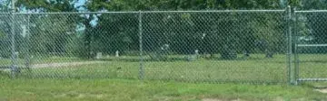 Cemetery.webp