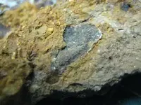 Unknown5.webp