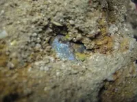 Unknown9.webp