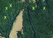 map-adambroach.webp