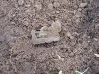 farm house hunt 002.webp