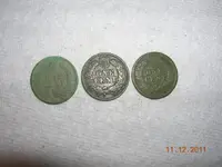 DSCN5321.webp
