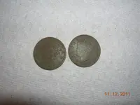DSCN5322.webp