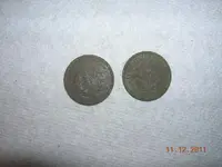 DSCN5323.webp