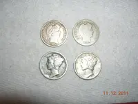 DSCN5294.webp