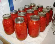 maters6.webp