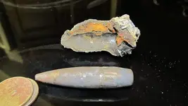 saint augustine bullet (Copy).webp