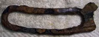 Nov 12 2011 Finds 004rs.webp