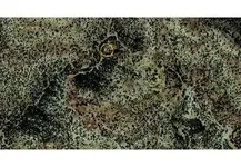 goldstrike.webp