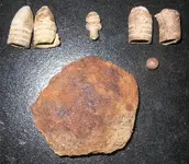 mycwfinds.webp