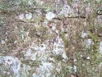 DSCF1824.webp