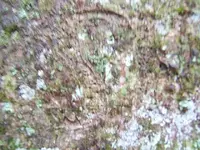 DSCF1822.webp