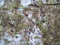 DSCF1823.webp