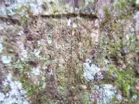 DSCF1820.webp