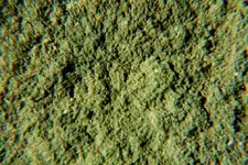 PrairieCreekLampr1Broughx.webp