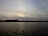 pretty.webp