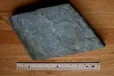 volcanic_ash2.webp