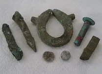 Treasure Coast finds.webp