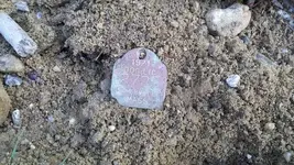 1971 Somerville Mass dog tag.webp