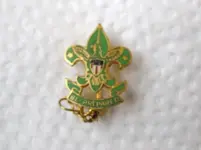 boyscout1.webp