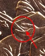 thumb_zoom.webp