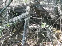001.webp