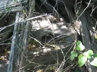 002.webp