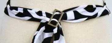 Sash Buckle Rectangle.webp