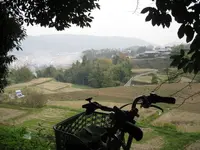 the view at entrance to forrest.webp