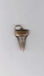 18k SMALL SHRK TH 1 (Large).webp