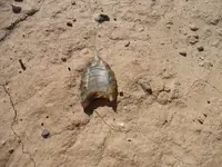 DSCN0900.webp