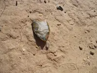DSCN0903.webp
