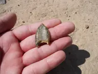 DSCN0899.webp