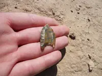 DSCN0906.webp