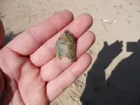 DSCN0910.webp