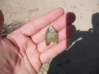 DSCN0911.webp