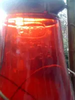 lantern2.webp