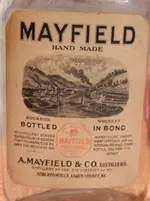 bottle 003pic.webp